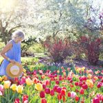 Netherlands Epic Travel Guide - The 3 Finest Tulip Field Tips!