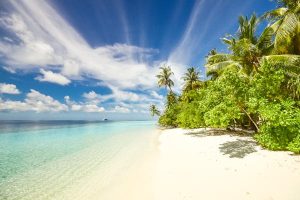 Palawan Travel Guide - Top 8 Beautiful Holiday Destinations!