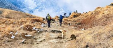 Top 10 Hiking Trails for Every Adventure Seeker